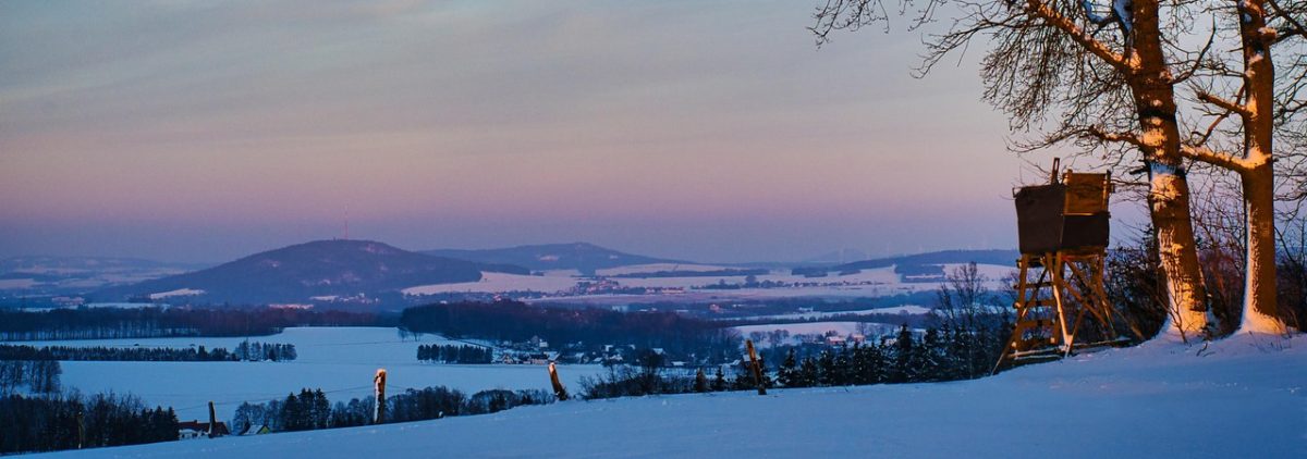 Im Osten. Perspektiven wider den Zeitgeist